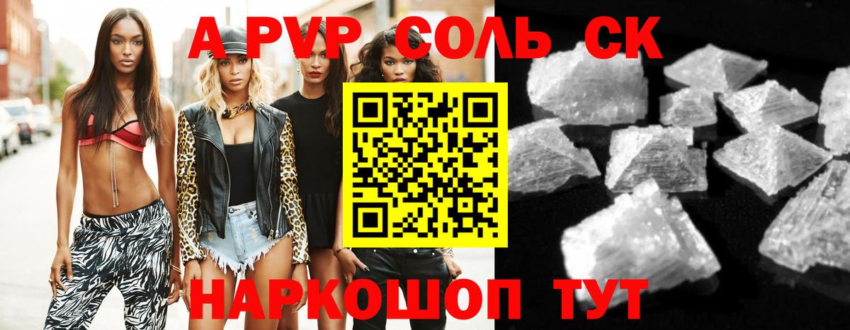 A PVP СК Бердск