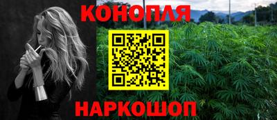 прущие грибы Усть-Джегута