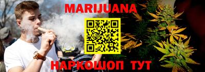 прущие грибы Усть-Джегута
